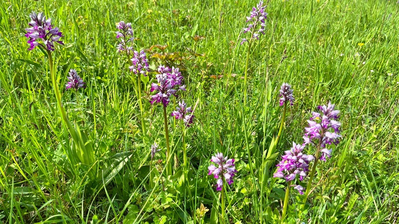 22-05-08 11-08-04 0765.jpeg